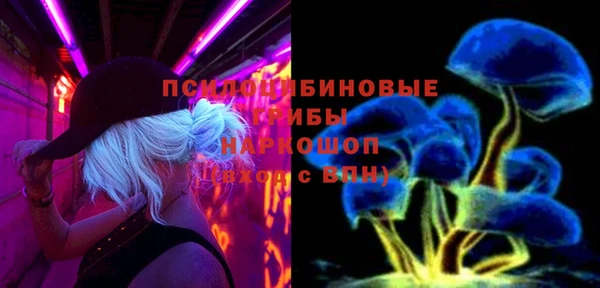 спиды Алексин